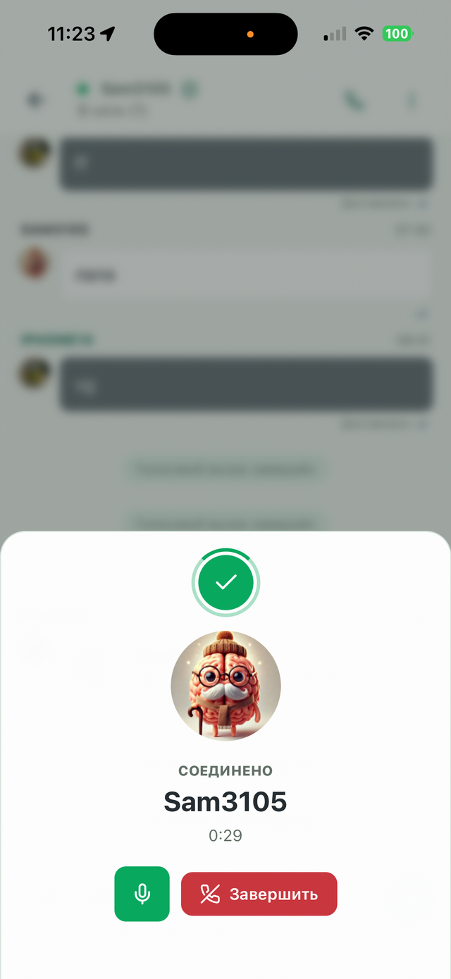 Encrypted P2P call