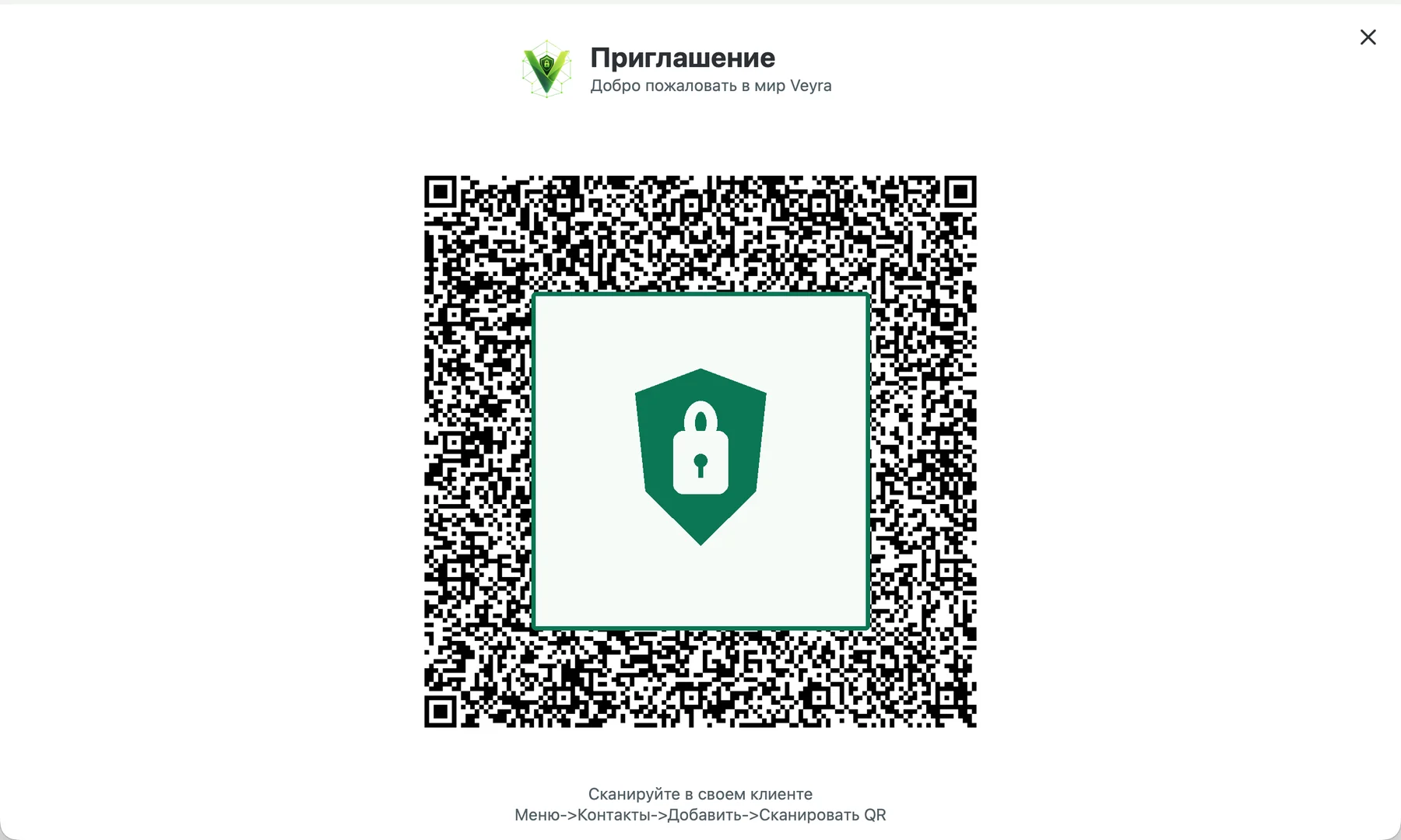 Полноэкранное приглашение Veyra в виде QR-кода с защитным блоком поверх кода
